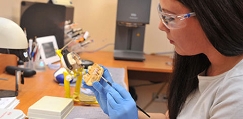 lab